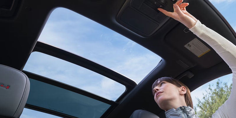 Panoramic Sunroof Cabin View